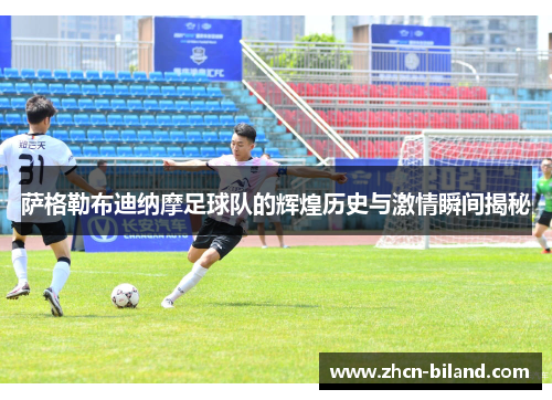 萨格勒布迪纳摩足球队的辉煌历史与激情瞬间揭秘