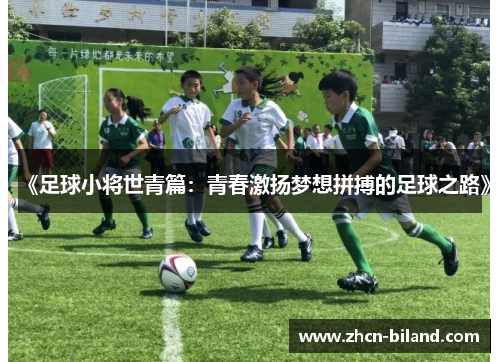 《足球小将世青篇：青春激扬梦想拼搏的足球之路》