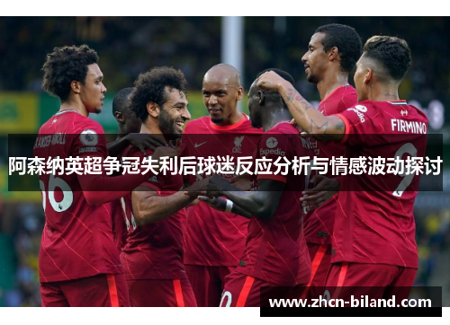 阿森纳英超争冠失利后球迷反应分析与情感波动探讨